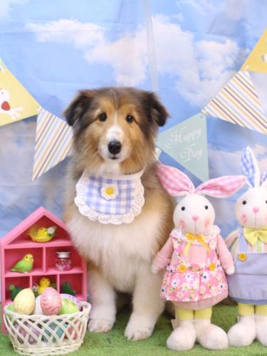 20240316リクくん